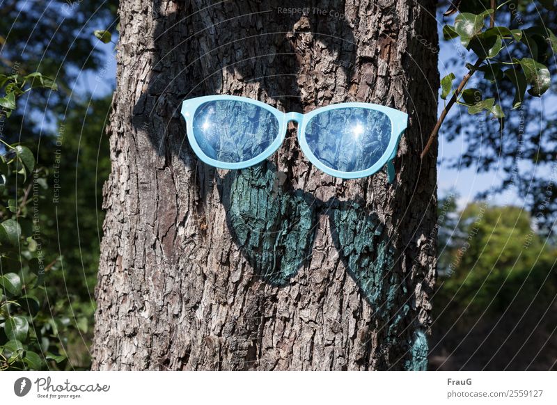 Emotion, so much sun. Sun Beautiful weather Tree Eyeglasses Sunglasses Wood Plastic Carrying Exceptional Bright Hip & trendy Blue Cool (slang) Joy Shadow