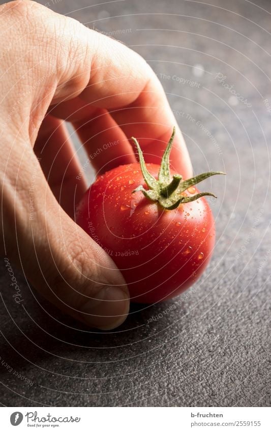 fresh garden tomato Food Vegetable Organic produce Healthy Healthy Eating Hand Fingers Select Touch Movement Fresh Round Red To enjoy Tomato Drops of water