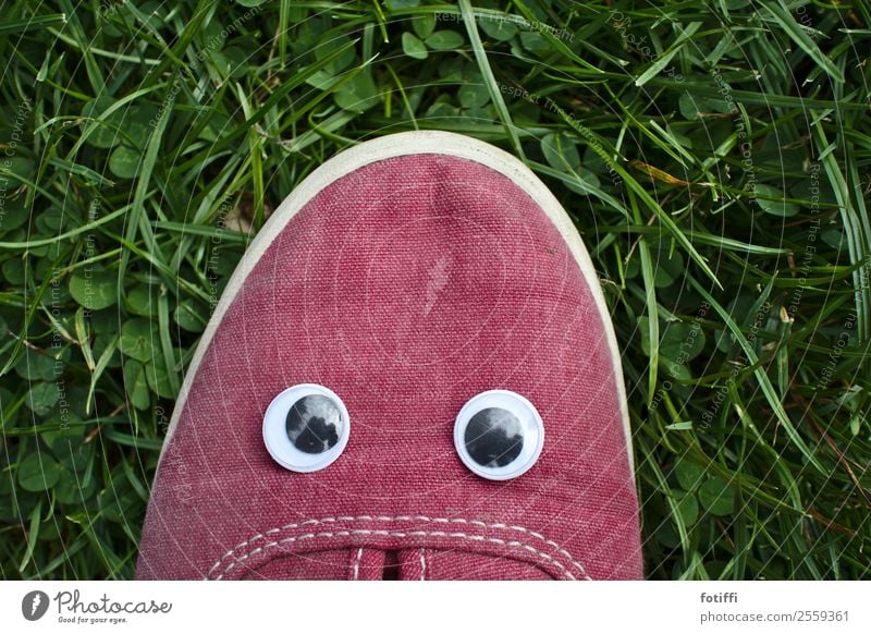 Wobble 1 Face Eyes Plant Grass Fantastic Footwear Red shaky eye Childish Childlike Insulted Exterior shot Looking into the camera