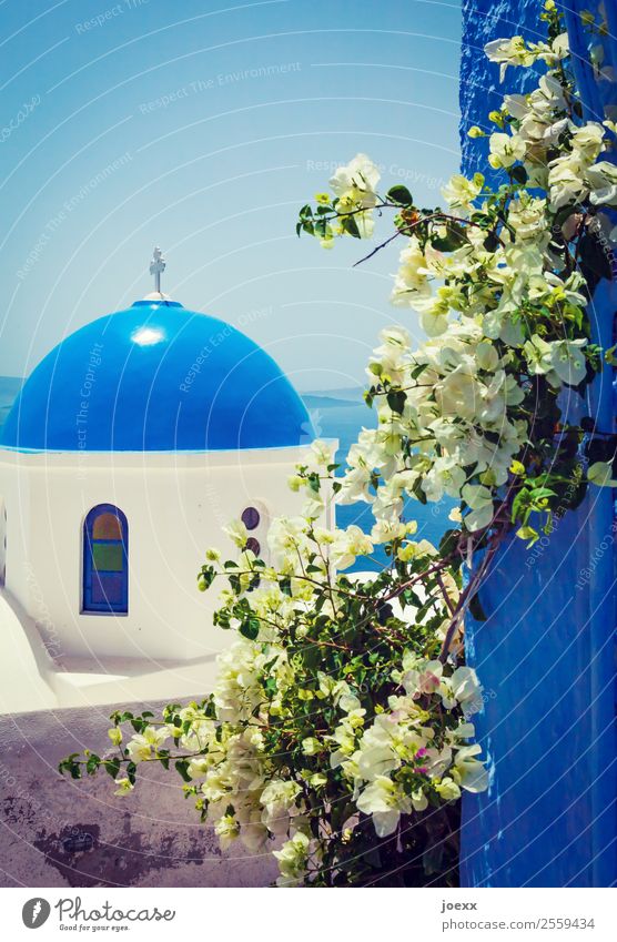blue Vacation & Travel Tourism Sky Ocean Island Santorini Greece Village Old town House (Residential Structure) Church Wall (barrier) Wall (building) Roof