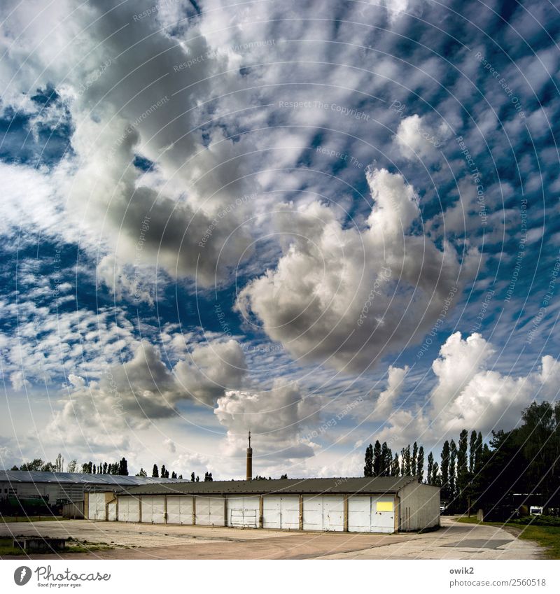 Sky over Seyda Environment Clouds Horizon Beautiful weather Tree Saxony-Anhalt Germany Small Town Outskirts Garage Transmitting station Concrete Wood Simple