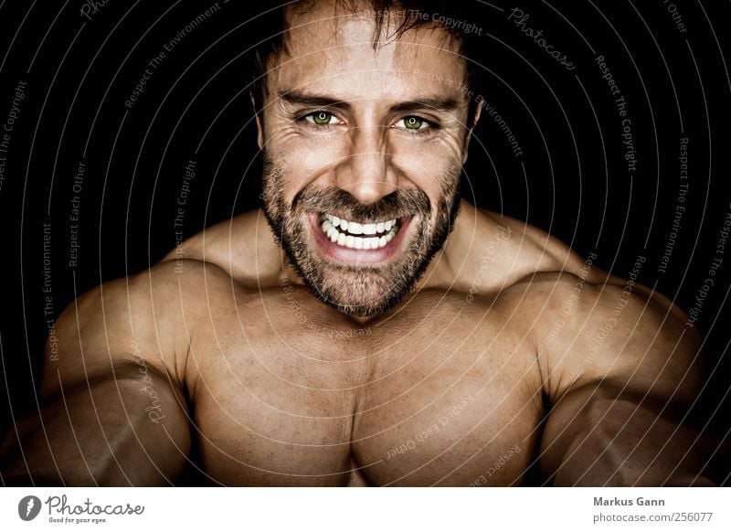 muscleman Sports Fitness Sports Training Sportsperson Human being Masculine Man Adults Face Chest 1 Facial hair Aggression Athletic Threat Power Bodybuilder