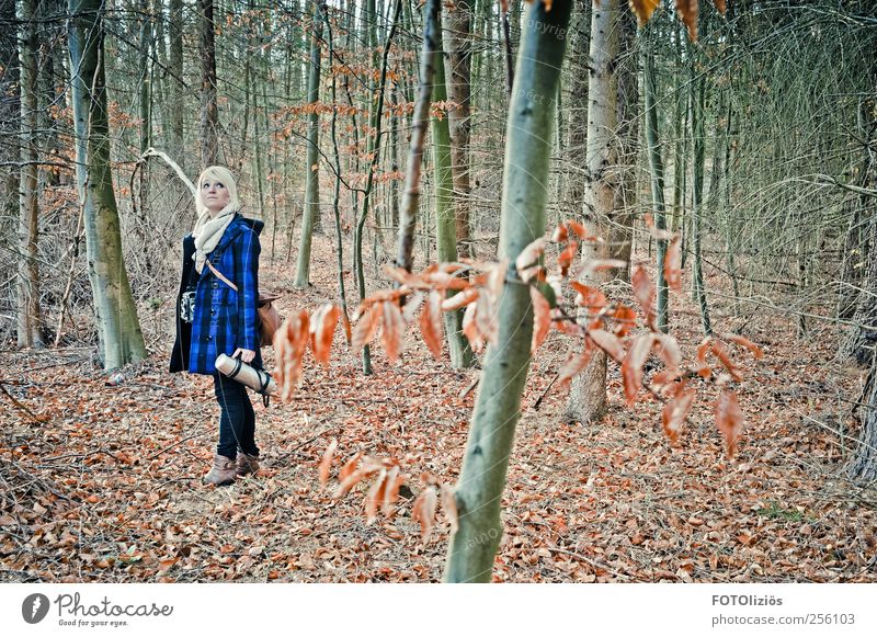 The girl with the thermos flask Woman Adults 1 Human being 18 - 30 years Youth (Young adults) Nature Autumn Tree Leaf Forest Coat Blonde Adventure