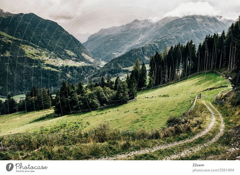 Pitztal Alps | Wenns Mountain Hiking Nature Landscape Summer Beautiful weather Forest Village Esthetic Fresh Sustainability Natural Green Loneliness Relaxation