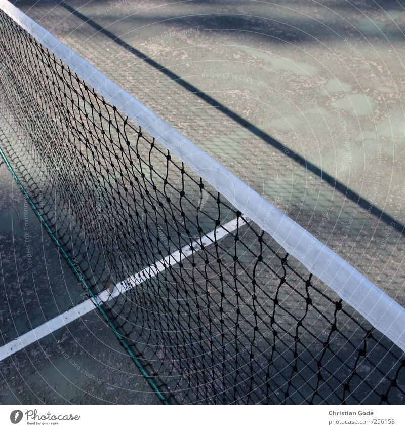 T-line Leisure and hobbies Playing Vacation & Travel Sports Ball sports Sporting Complex Sporting event Green Tennis Net Tennis tournament Diagonal Square White