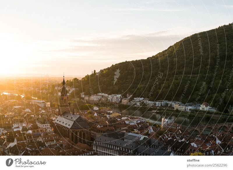 View of the old town of Heidelberg at sunset Clouds Sunrise Sunset Sunlight Summer Beautiful weather Forest Hill Old town Church Idyll Calm Religion and faith