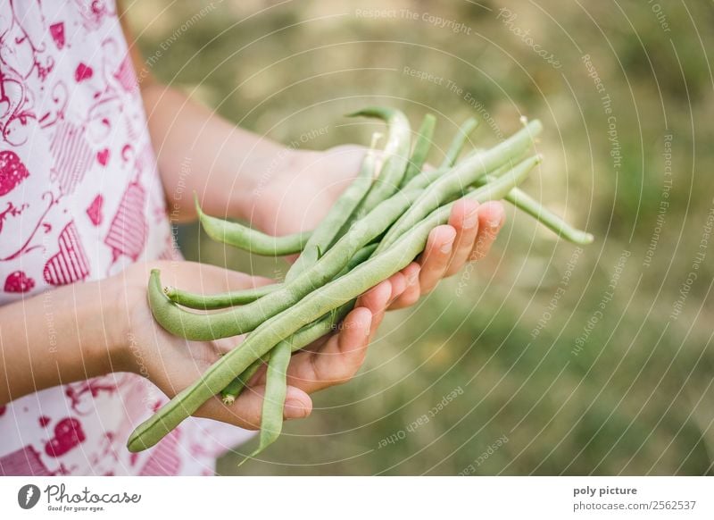 French beans in children's hands Leisure and hobbies Playing Vacation & Travel Summer vacation Child Toddler Girl Young woman Youth (Young adults) Infancy Arm