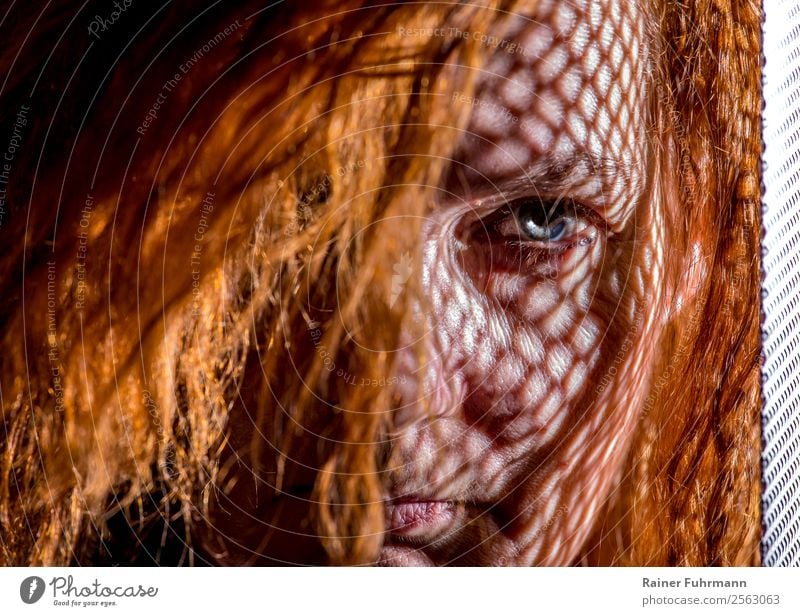 the shadow of a lattice on a woman's portrait Human being Feminine Woman Adults Face 1 Red-haired Observe Exceptional Threat Emotions Moody Uniqueness