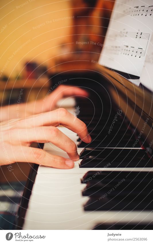 Close up of hands of person playing piano Piano Play piano Piano lessons Piano keyboard Piano keys Music play music Make music Classical Leisure and hobbies