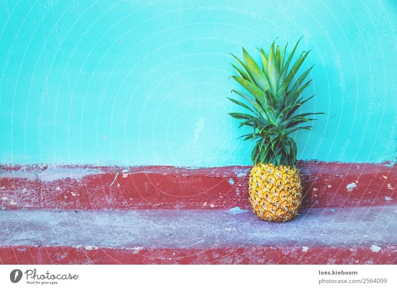 Large Pineapple on turquoise wall and red floor Fruit Organic produce Vegetarian diet Vacation & Travel Tourism Far-off places Summer Sun Nature
