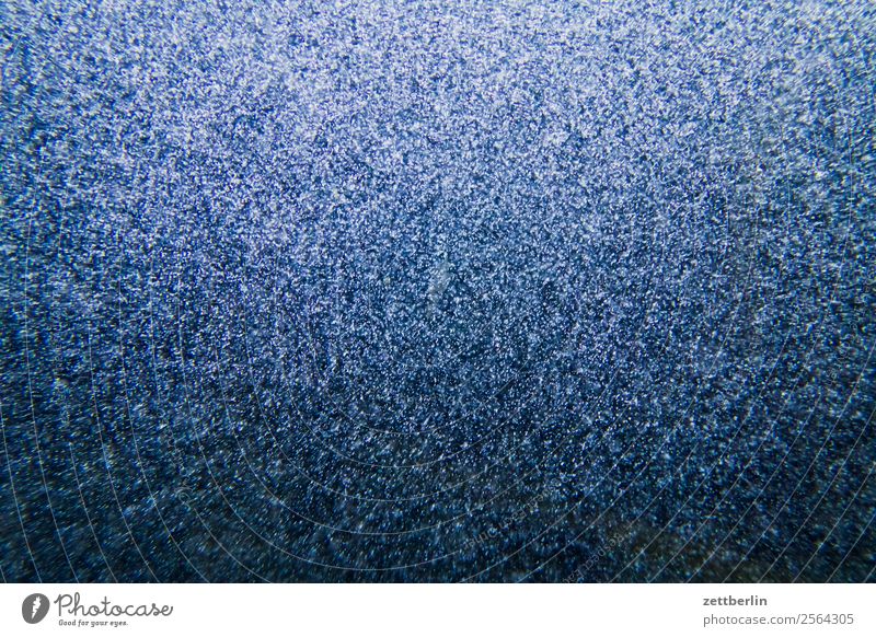 Lofotakvariet Aquarium Swimming & Bathing Float in the water Dive Oxygen Bubble Diving equipment Underwater photo Water Zoo Air Air bubble Light Dream