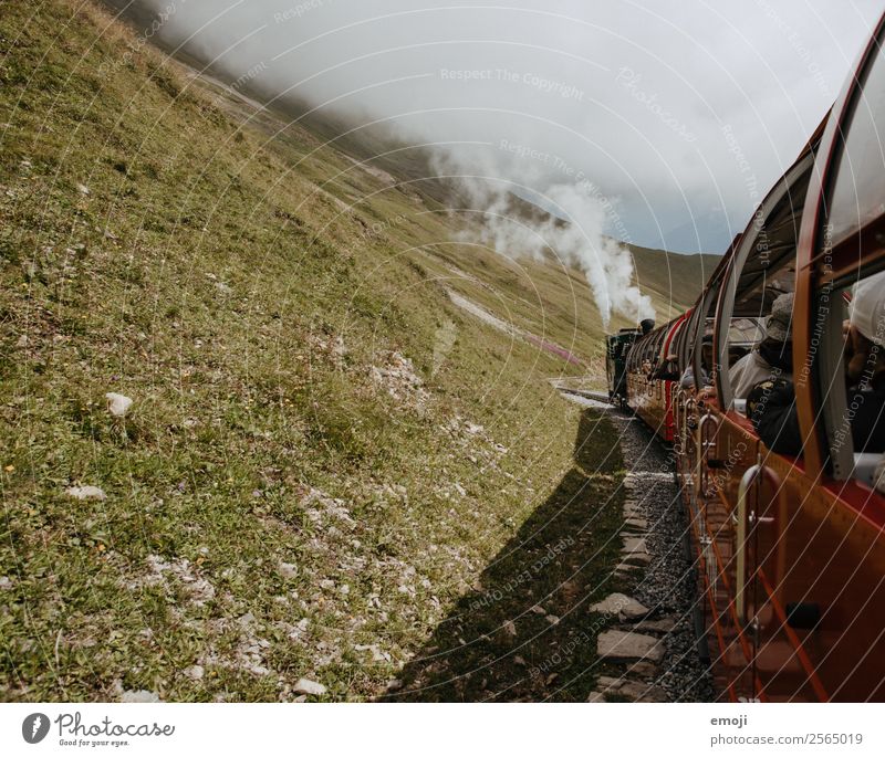 Brienz-Rothorn Railway Leisure and hobbies Steamlocomotive steam path Autumn Fog Meadow Old Authentic Switzerland Brienzer Rothorn Hiking trip Class outing