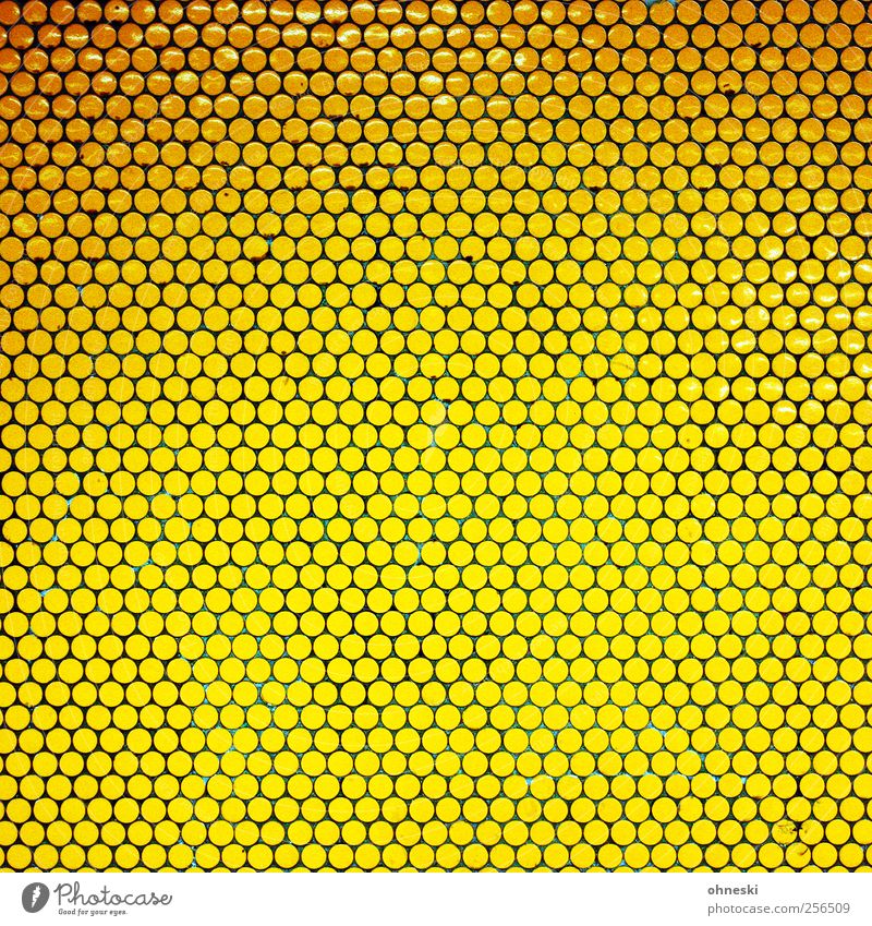 Small circles Deserted Manmade structures Wall (barrier) Wall (building) Tile Mosaic Many Yellow Gold Flashy Point Colour photo Interior shot Abstract Pattern
