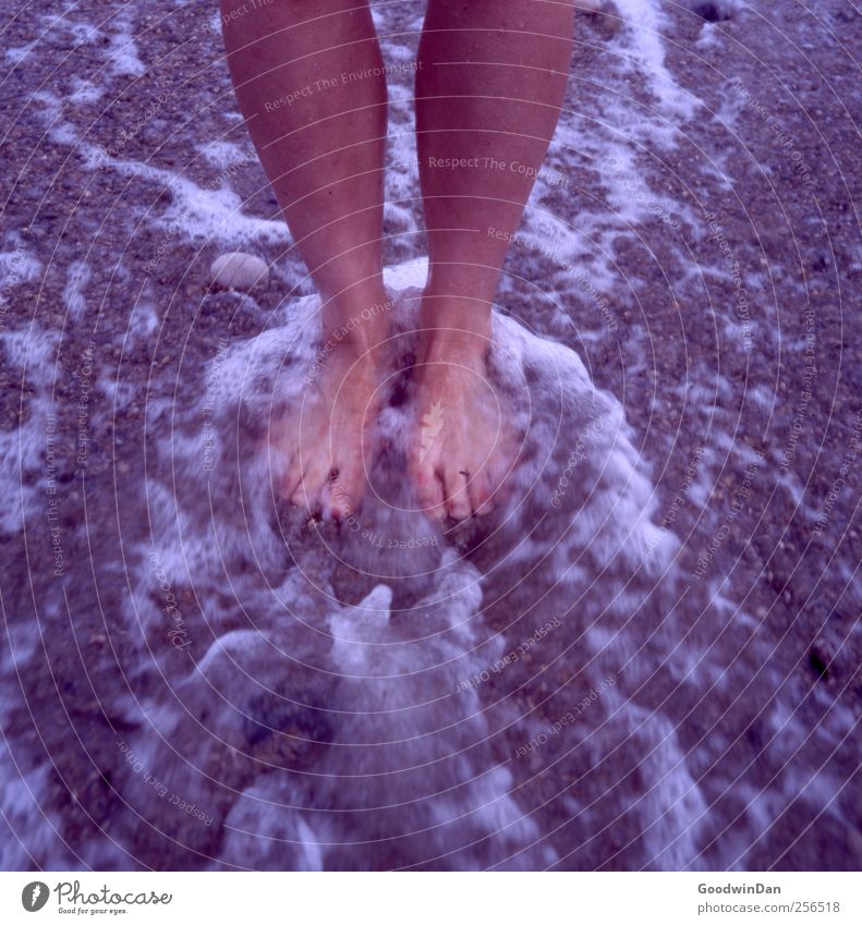 Hold me. Human being Woman Adults Legs Feet 1 Environment Nature Elements Earth Sand Water Climate Weather Beautiful weather Beach Ocean Freeze Stand Sadness