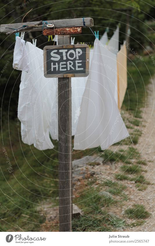 clothesline way stop Summer Beautiful weather Grass Bushes Hang Fresh Environment Lanes & trails Clothes peg Bedclothes White Colour photo Day
