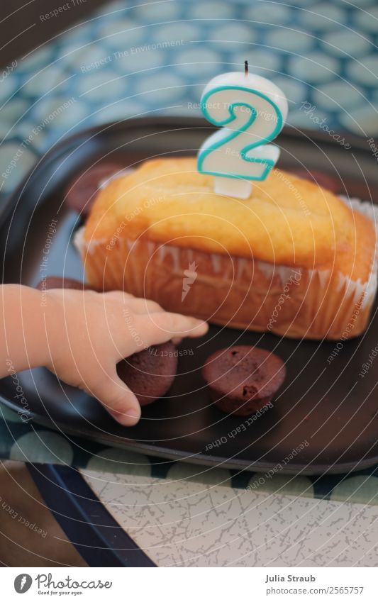 Pieces of cake Birthday Cake Candy To have a coffee Plate Hand 1 - 3 years Toddler Running Touch Delicious Sweet Senior citizen Infancy Eating Candle 2