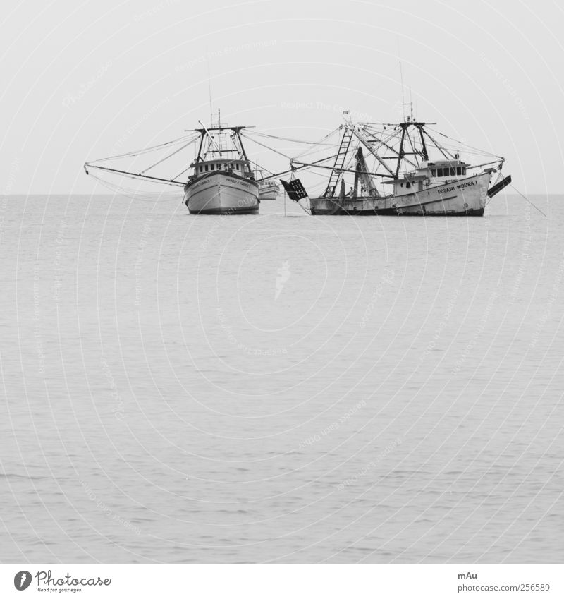 Fished Fishing boat Catch Hunting Brazil Fishing (Angle) Net Black & white photo Exterior shot Deserted Day Contrast