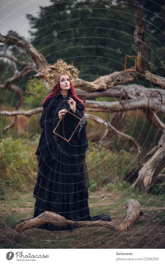 painting pictures Human being Feminine Woman Adults 1 Environment Nature Autumn Tree Branchage Park Field Forest Dress Headdress Red-haired Long-haired Dream