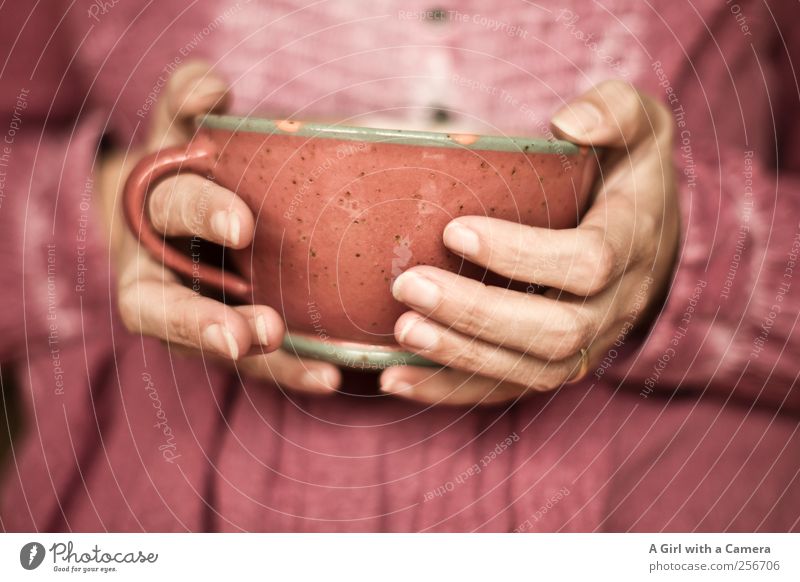 warming up Lifestyle Luxury Living or residing Human being Feminine Woman Adults Hand Fingers 1 Cup Pot Happiness Uniqueness Warmth Pink To hold on Clay