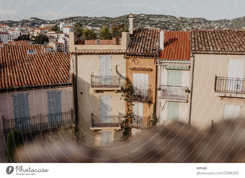 Cannes Town House (Residential Structure) Wall (barrier) Wall (building) Facade Balcony Window Brown Tourism Colour photo Exterior shot Deserted Day