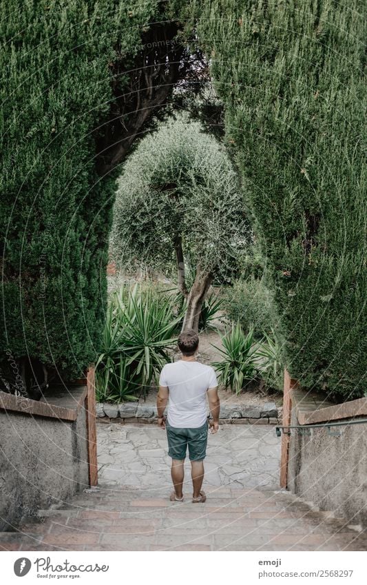 Cannes Masculine Young man Youth (Young adults) Adults 1 Human being 18 - 30 years Plant Tree Park Stairs Natural Green Colour photo Exterior shot Day