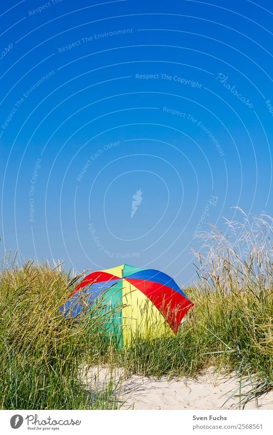 Colourful parasol in a dune Beautiful Relaxation Calm Vacation & Travel Tourism Summer Sun Beach Ocean Island Nature Landscape Sand Cloudless sky