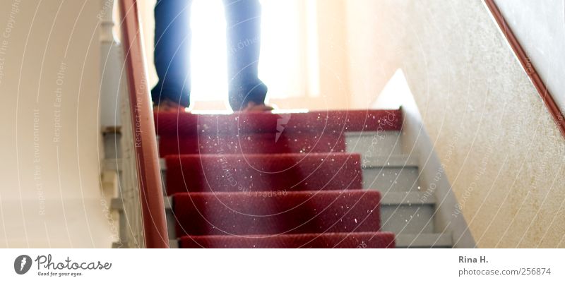 the man on the stairs Human being Masculine 1 Jeans Threat Red Dangerous Fear Staircase (Hallway) Old building Legs Stairs Colour photo Interior shot Light