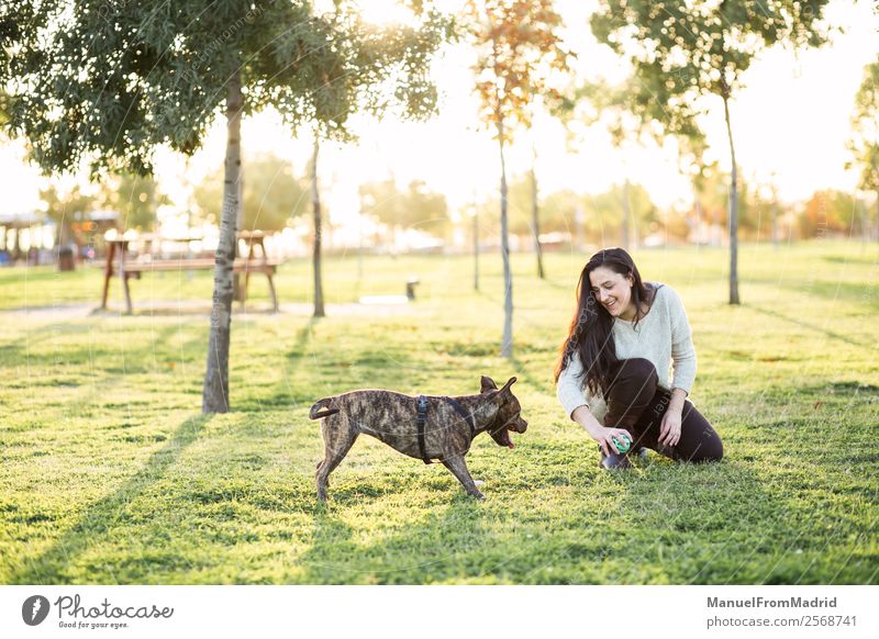 young woman playing with her dog Lifestyle Happy Beautiful Woman Adults Friendship Nature Animal Grass Park Pet Dog Smiling Cute Green Joy Happiness