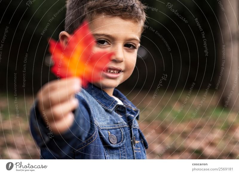 Cute boy shows a leaf in autumn in the forest Lifestyle Joy Happy Beautiful Face Leisure and hobbies Playing Garden Child Human being Toddler Boy (child) Man