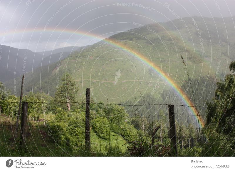 Rainbow in Lungau Environment Nature Landscape Spring Weather Forest Mountain Relaxation Freedom Peace Hope Exterior shot Deserted Day Sunlight Panorama (View)