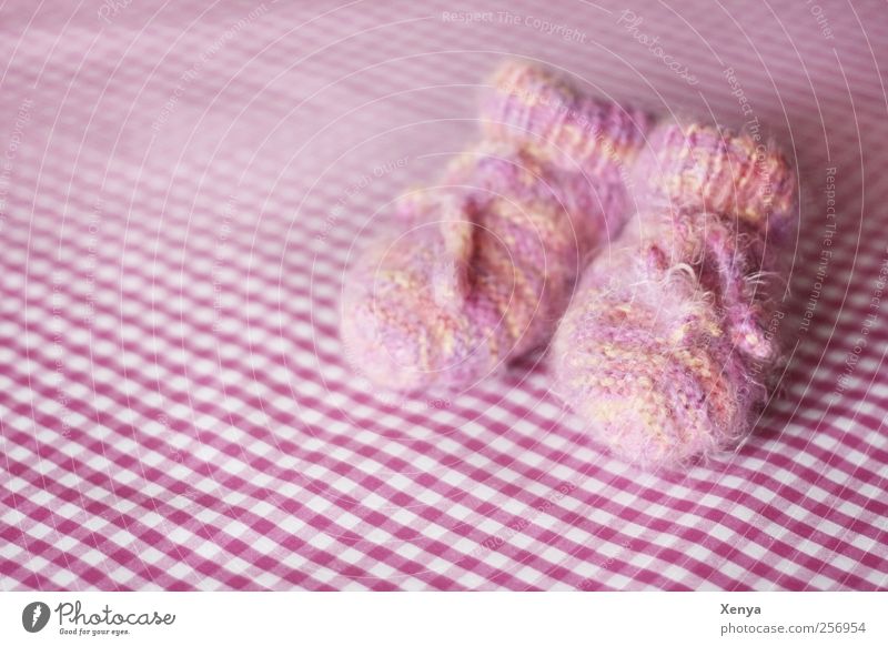 Warm for small feet baby socks Pink Safety (feeling of) Cuddly Soft Baby Wool Girl Knitted Close-up Deserted Copy Space left Day Shallow depth of field