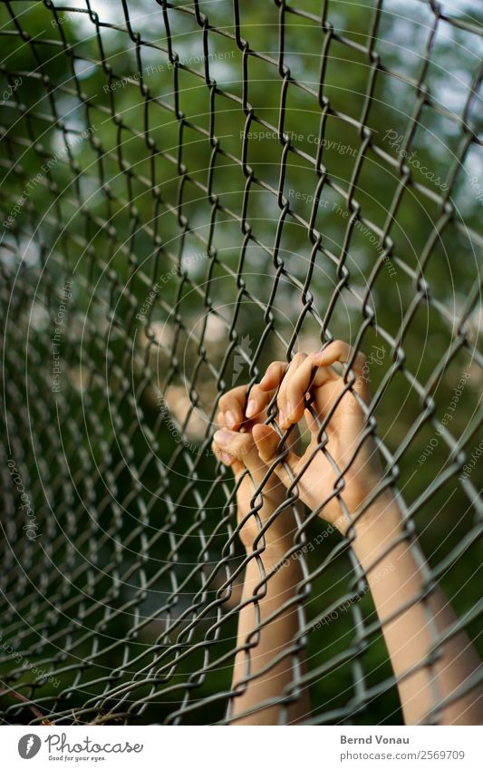 captive Feminine Skin Hand Fingers 13 - 18 years Youth (Young adults) Nature Hang Captured Climbing Fence Wire netting fence Arch Tunnel Tunnel vision Green