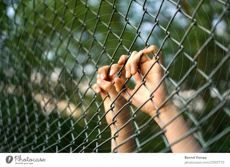 Hands separated from the terrain Human being Feminine Young woman Youth (Young adults) Fingers 1 Nature Bright Wire netting fence Captured Escape Require