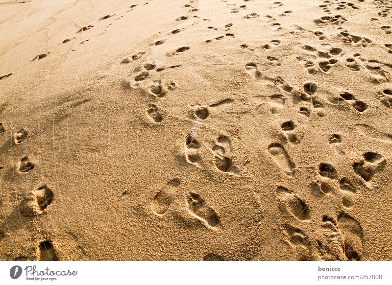 havoc Sand Beach Sandy beach Vacation & Travel Footprint Movement Background picture Going Chaos Irritation