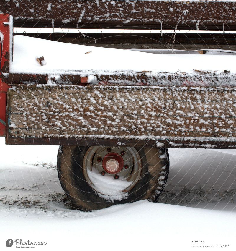 winter tyres Winter Bad weather Snow Means of transport Logistics Truck Tractor Trailer Cold Tire Colour photo Exterior shot Deserted Day