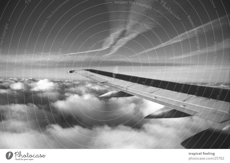 air Wing Clouds Air Soft Aviation Black & white photo Sky