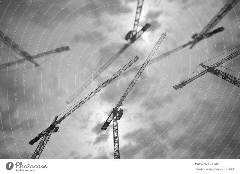 giraffe dance Town Deserted Industrial plant Communicate Complex Crane Power Clouds Sky Gray Build Above Muddled Chaos Black & white photo Exterior shot