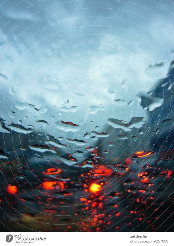 rain Environment Water Drops of water Autumn Climate Climate change Weather Rain Transport Rush hour Road traffic Motoring Street Car Wet Fatigue Pain