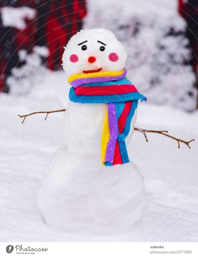 snowman with a colorful scarf Joy Winter Snow Nature Scarf Smiling Stand Happiness Small Cute Multicoloured White Vacation & Travel Tradition Snowman background