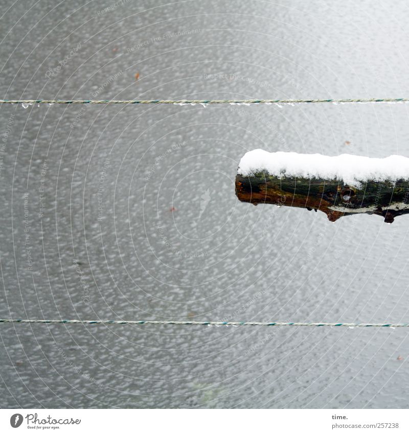 -stock-photo- Water Winter Loneliness Surrealism Wood Branch Snowfall Ice Frozen String Drops of water Surface Colour photo Subdued colour Exterior shot Detail
