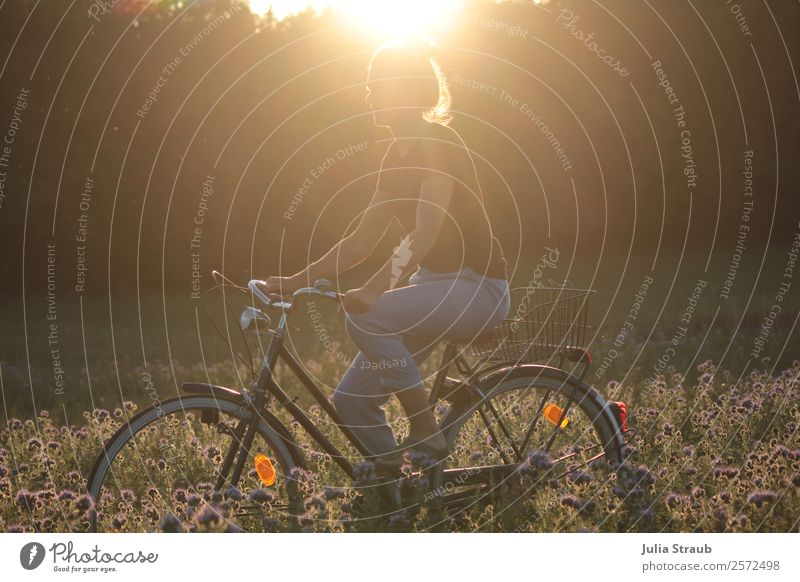 Cycling in a field of flowers at sunset Bicycle Feminine Woman Adults 1 Human being 30 - 45 years Nature Landscape Sun Sunrise Sunset Sunlight Summer