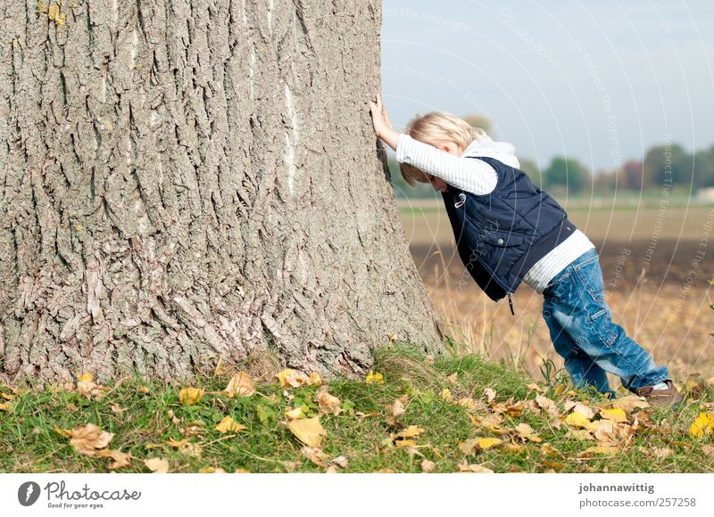 It's hard, isn't it? Playing Child Human being Masculine Toddler Boy (child) Infancy 1 1 - 3 years Nature Autumn Beautiful weather Tree Blonde Happiness Small