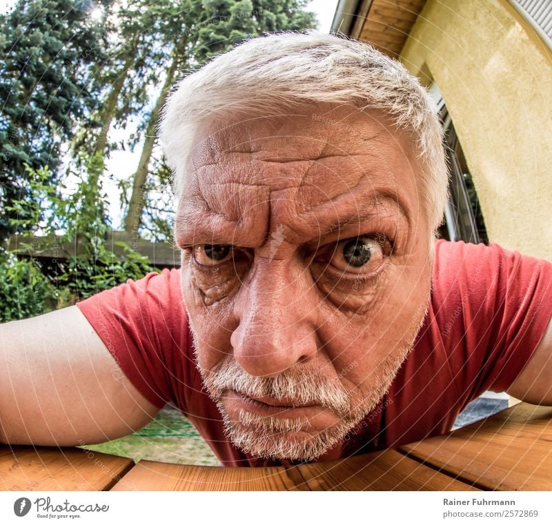 Portrait of a strange older man Human being Masculine Man Adults Male senior Head 1 Gray-haired Facial hair Observe Aggression Old Threat Emotions Moody