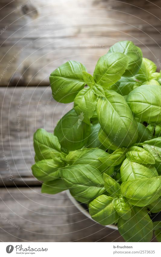 Basil in a pot Food Herbs and spices Organic produce Vegetarian diet Pot Healthy Eating Agricultural crop Garden Wood Fresh Natural Green Herb garden Basil leaf