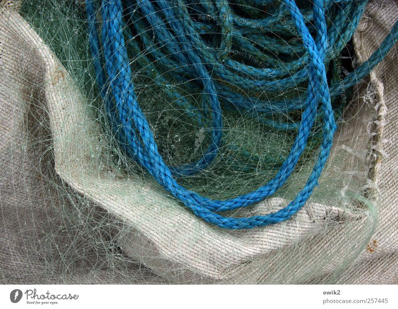 fishermans friend Profession Workplace Fishery Authentic Wet Blue Gray Green White Rope Net Fine Firm Containers and vessels Drops of water Colour photo