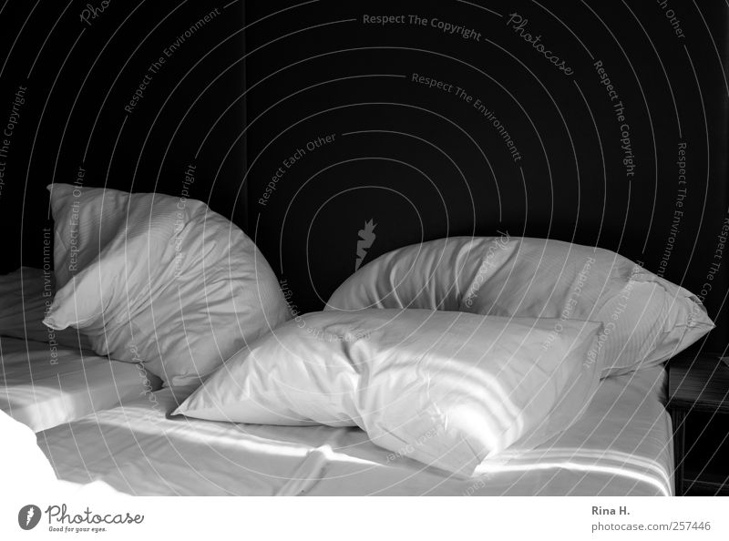 Rise and shine! Bed Bedclothes Cushion Pillow Relaxation Sleep Living or residing Black White Joie de vivre (Vitality) Calm Black & white photo Interior shot
