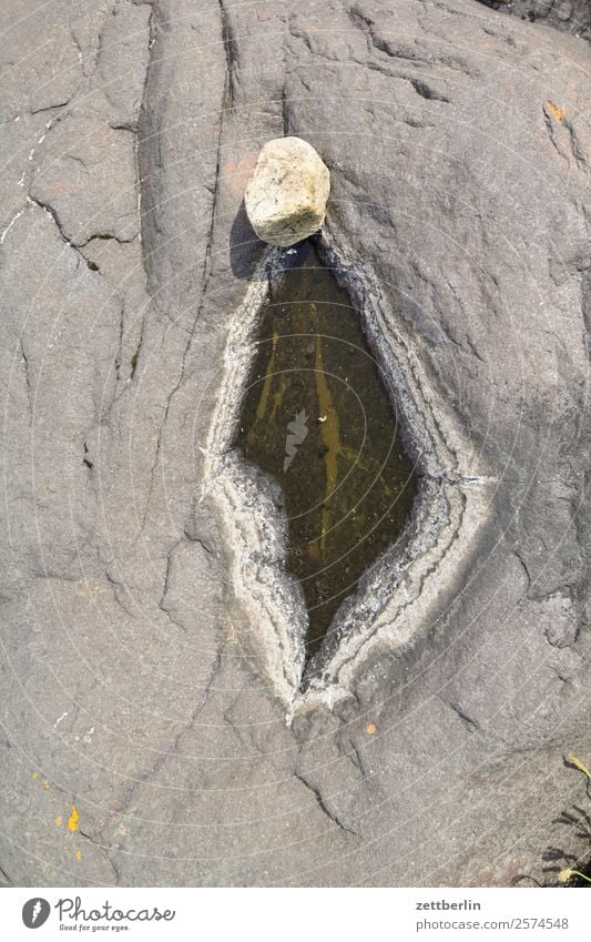 Rhombically shaped puddle with G-stone Stone Rock Hollow Watering Hole Puddle Water level Granite Genitalia Gender Sex Sexuality Woman Feminine Puberty Vagina