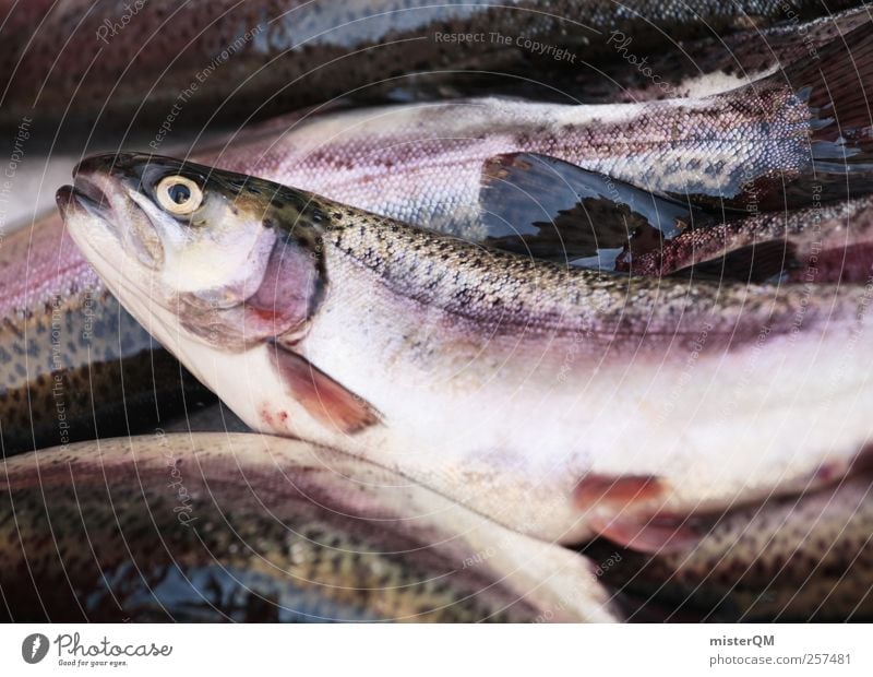 Fish for breakfast. Animal Esthetic Fishery Fish eyes Death Trout Disgust Markets Market day Fishing quota Food Delicacy Delicious Colour photo Subdued colour