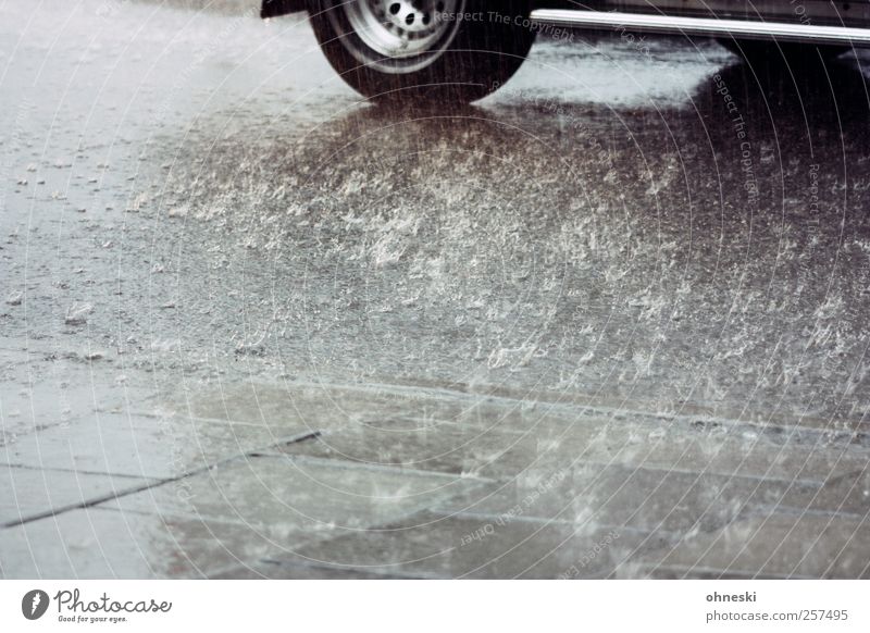 Happy New Year Water Weather Bad weather Rain Transport Motoring Street Sidewalk Car Climate Tire Wet Colour photo Subdued colour Exterior shot