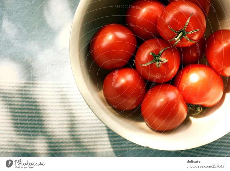 tomatoes Food Vegetable Soup Stew Nutrition Lunch Dinner Organic produce Vegetarian diet Crockery Bowl Nature Blue Green Red Tomato Tomato salad Tomato juice